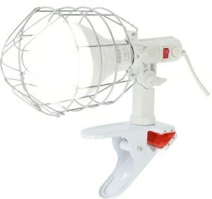 �y��������(�ꕔ�n�揜��)�z�y��Ɠ��E����p�i�zTAKAGI(���V)M��M �����p LED�N���b�v�����v �����F ����d��:48W �ڑ��R�[�h5m CLL-48�y580�z