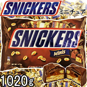 yN[ցzSNICKERS ~j`A eʃpbN 1020gXjbJ[Y MINIS `R[g LkK[ s[ibc p Ɩp  َq zzp CO`R[go[ XibN