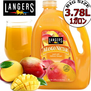 LANGERSZI}S[lN^[ e1K/3.78LK[Y}S[ }S[W[X ʏ`20 MANGO NECTAR Ɩp 썑
