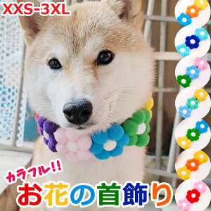 yzԂ̎  p lbNX    t[ ||  ȒP ANZT[ Jt 킢  L Lp ^ ^ ^  ӂӂ CX^