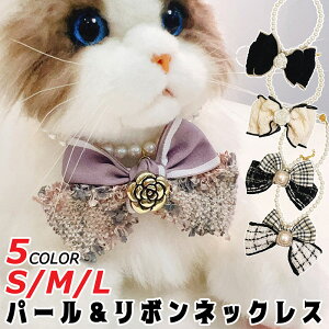 yzp[ {  p lbNX  cC[h JA `[J[ mg[  ȒP ANZT[ Jt 킢  L Lp ^ ^  ӂӂ 