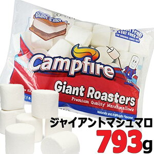 WCAgTCỸ}V}CampfireWCAg[X^[793g Giant Roasters Lvt@C[ BBQ Ă}V} }V}g[Xg BIGTCY }V} Ɩp o[xL[ 