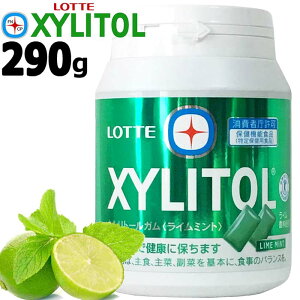 LOTTELVg[ KC~gV[Yő e290g K{gbe XYLITOL LIME MINT MEGABOTTLE `[CK