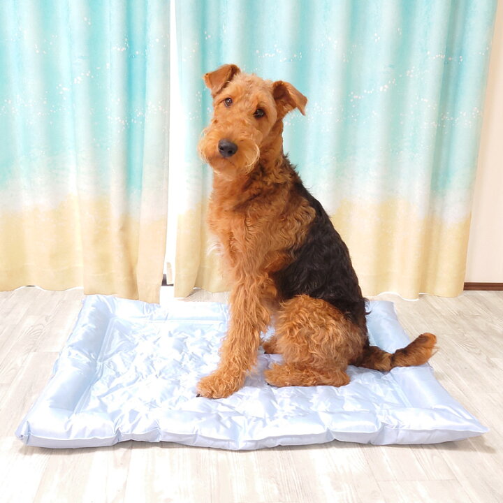 楽天市場】特大【コストコ】犬 犬用 ペットクーリングジェルパッド 