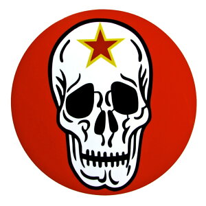 ���q�� �ϐ����X�e�b�J�[ ������n ��s�����Q �A�O���b�T�[ �h�N�� ���q���O�b�Y ���q���X�e�b�J�[ �q�󎩉q�� UV�C���N