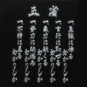 qObY GV[ C㎩q ܏ qXebJ[