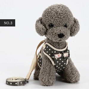 yő20OFFN[|z ybgpi ^p n[lXƃ[h2_Zbg xXg^n[lXiցj[h {fBɗD yʁ@bV@ʋC@G肢\n NbvŃ