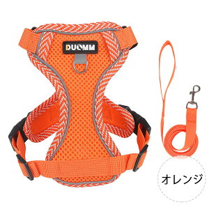 yő20OFFN[|z n[lX [hZbg ^ ^  x[VbNn[lX Ȃ ȒPE ߉\ h~ P݌y Ռz 3Mˑf ʋC U o