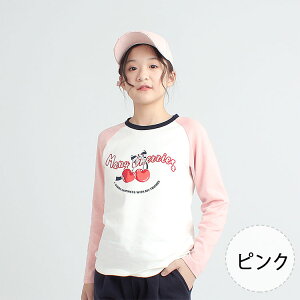 yő20OFFN[|zLbY TVc  95 q ̎q n ڕ Rbg gbvX WjA Ci[ ʉ ʊw t H ~ Vv JWA x[VbN ؍q 