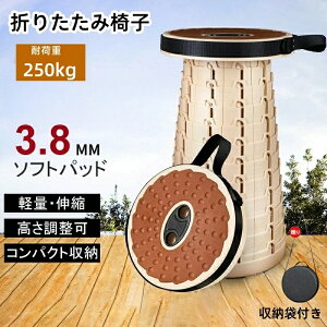 y2_グłz܂肽݈֎q Lk Lv`FA y ω׏d 250KG gю RpNg[ AEghA sNjbN ނ X|[cϐ ȈՐ܂ ^x` nCLO K