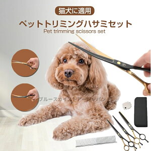 yїʂ̒߂{JVɁzybg g~O XLoT~ ybgg~OnT~Zbg g~OVU[ ybg̔eɃnT~ ybg L pi S XeX| XLoT