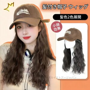 XqtEBbO fB[X Z~O  J[  R t XqEBbǑ^ ȒP ʋC ECbOtXq Lbv RXv EBbO ×pEBbO  G