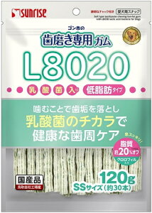 yTCYzS̎pK@SSTCY@L8020_ۓ@NtB@ᎉb@120gx48iP[X̔j