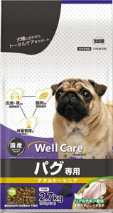 yC[X^[zEFPA@pOp@A_g`VjA@2D7Kgx4iP[X̔j