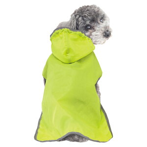 yhM[}nVzChicchaI@ppbƒ@|Pbg悯JR[g@S@C