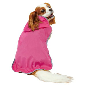 yhM[}nVzChicchaI@ppbƒ@|Pbg悯JR[g@M@sN