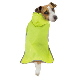 yhM[}nVzChicchaI@ppbƒ@|Pbg悯JR[g@M@C