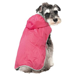 yhM[}nVzChicchaI@ppbƒ@|Pbg悯JR[g@L@sN