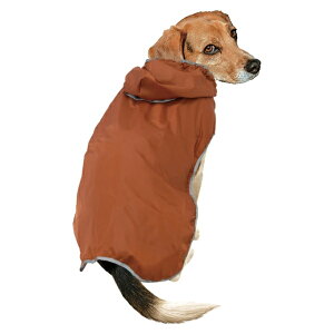 yhM[}nVzChicchaI@ppbƒ@|Pbg悯JR[g@L@uE