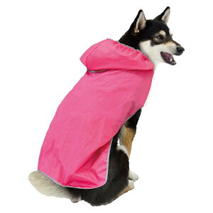 yhM[}nVzChicchaI@ppbƒ@|Pbg悯JR[g@LL@sN