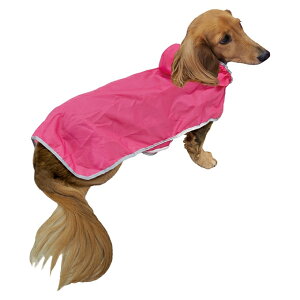 yhM[}nVzChicchaI@ppbƒ@|Pbg悯JR[g@MD@sN