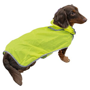 yhM[}nVzChicchaI@ppbƒ@|Pbg悯JR[g@MD@C