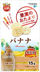 【マルカン】果実のおたより　バナナ　15gx36個（ケース販売）ML－86