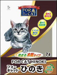 yVkwHƁztH[Lbg@Ђ̂@7L