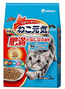 白 猫 チャーム キャットフードの人気商品 通販 価格比較 価格 Com
