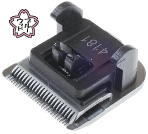 z[o[o[ vtFbVi RpNg ւn