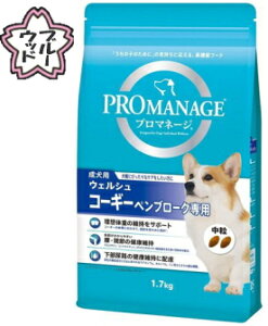 y}[XWpzv}l[W@p@EFVER[M[Eyu[Op@1D7kgx6iP[X̔j@KPM45