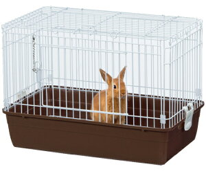 y}JzɎ郊rO[@M@MR|978