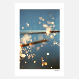 Alicia Bock Photography / Spark 254×380mm�y8×12/�A���V�A�{�b�N�t�H�g�O���t�B/�|�X�^�[/�ʐ^/�A�[�g/�t�H�g�O���t�@�[/�X�p�[�N�z[113604