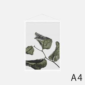 Paper Collective / Floating Leaves 03 A4(Clear)�y���[���։� 5�_�܂Łz�y�y�[�p�[�R���N�e�B�u/�|�X�^�[/�t���[�e�B���O���[���X/�f���}�[�N/�C���e���A�z[115712