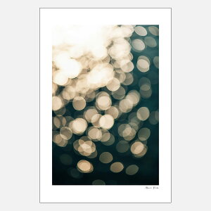 Alicia Bock Photography / Solstice Sparkle 254×380mmy8"×12"/AVA{bNtHgOtB/|X^[/ʐ^/A[g/tHgOt@[/\XeBXXp[Nz[116951