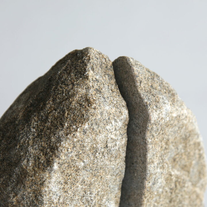 楽天市場】AJI PROJECT[アジプロジェクト] / RS-ROCK END / XL(sabi 