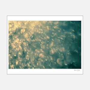 Alicia Bock Photography / We Are Stars 330×254mmy8"×12"/AVA{bNtHgOtB/|X^[/ʐ^/A[g/tHgOt@[//EF[A[X^[Yz[113799