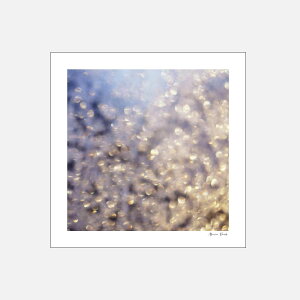 Alicia Bock Photography / Winter Aglow 254×254mmy8"×8"/AVA{bNtHgOtB/|X^[/ʐ^/A[g/tHgOt@[//EB^[AO[z[118156