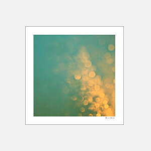 Alicia Bock Photography / Rainstorm 254×254mmy8"×8"/AVA{bNtHgOtB/|X^[/ʐ^/A[g/tHgOt@[//CXg[z[118157