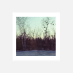 Alicia Bock Photography / Shadowland 254×254mmy8"×8"/AVA{bNtHgOtB/|X^[/ʐ^/A[g/tHgOt@[/e/VhEhz[118154