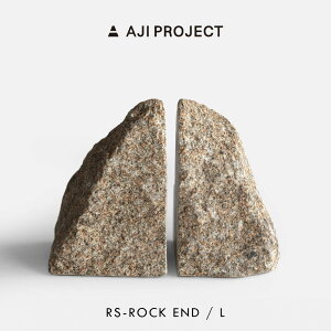 AJI PROJECT AWvWFNg / RS-ROCK END L (sabi)bbNGh ubNGh  R IuWF CeA ΍ fUCXg[ _ Mtg v[g j Vzjb116852