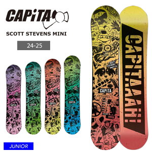 ybNXT[rXLz24-25 2025 CAPITA Ls^ Xm[{[h LbY  SCOTT STEVENS MINI q WjA