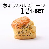 〈訳ありスコーン〉《9月下旬より順次発送》よろしくお願いします。