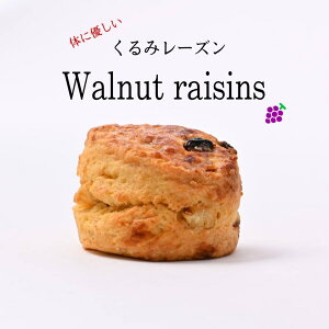 s݃[YtXR[ 2 [Y hCt[c Ⓚ   Ăَq