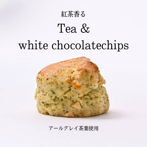 XR[ gzCg`R 2 َq XC[c  Ⓚ  lC  Ăَq@g@zCg`R 蕨 LO v[g