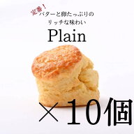 〈8月下旬より順次発送〉《バター香るプレーンスコーン 》手作り 美味しい 焼き菓子 朝食 おやつ お取り…