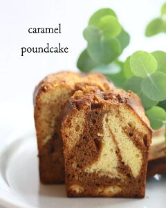 pEhP[L L LgL[ Ăَq  Ⓚ  v[g