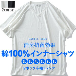 �傫���T�C�Y �����Y DANIEL DODD ��100% V�l�b�N ���� ���� ���� ���L�R�� �C���i�[�V���c azu-2251