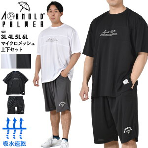 傫TCY Y ARNOLD PALMER A[mhp[}[ }CNbV  TVc + n[tpc ㉺Zbg z 4051991