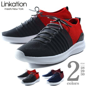 楽天市場 大きいサイズ メンズ 靴 の通販